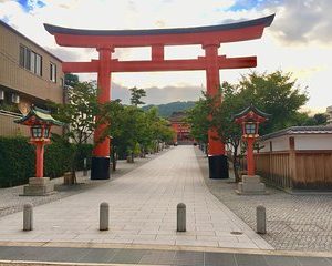 The Original Early Bird Tour of Kyoto.