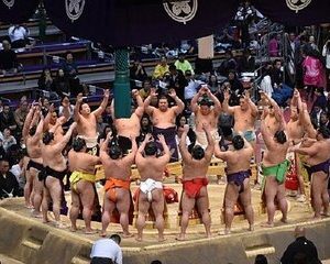 Tokyo Grand Sumo Tournament Viewing Tour