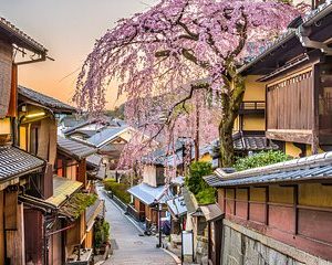 10 Day Japan Private Tour Unveiling Maximum Attractions