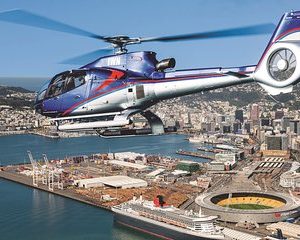 15-Minute Wellington Harbour Helicopter Flight