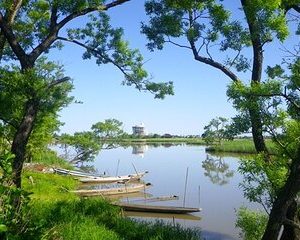 2 Day Private Luxury Tour through rural Japan (Fukushimagata)