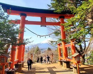 2 Days Private Tour: Tokyo / Mt Fuji and Hakone