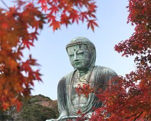 4-hour Private Tour of Kamakura with Government-Licensed Guide