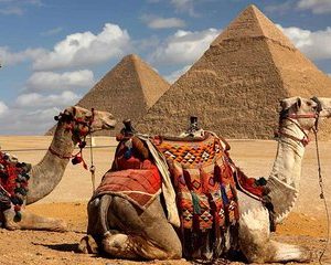 8 Days Egypt Tour to Cairo and Alexandria with Nile Cruise from Aswan to Luxor