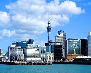 Auckland City & Native Forest Experience - Fully Guided Day Tour