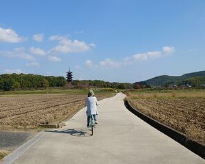 Cycling on KIBIJI Road and White Peach Parfait Making Class