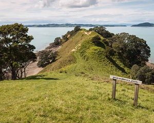 Duder Regional Park Half-Day Walking Tour