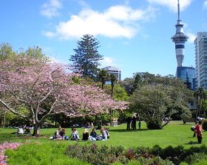 Full Day Private Shore Tour in Auckland from Tauranga Cruise Port