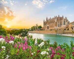 Full Day Private Shore Tour in Palma de Mallorca from Palma Port