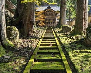 Full Day Tour Eiheiji Buddhist Temple and Fukui City Castle Town