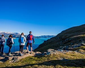 Half Day Guided Walking Tour on Banks Peninsula