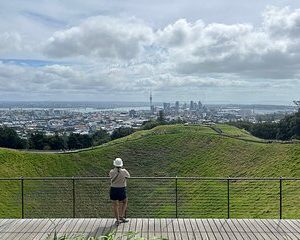 Half-Day Volcano Tour from Auckland