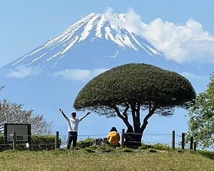 Hike Japan Heritage Hakone Hachiri with certified mountain guide