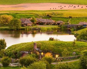 Hobbiton Movie Set Tour with lunch from Auckland