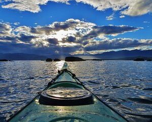 Kaikoura Day Tour With Kayak Experience From Christchurch