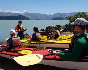 Lyttelton Shore Excursion - Sea Kayaking, Quail Island & Harbour