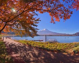 Mt Fuji Kawaguchiko Oishi Park Oshino Hakkai & Gotemba Tour|Tokyo