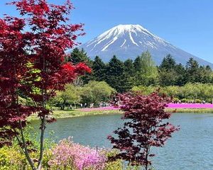 Mt Fuji Private Tour with English speaking driver