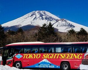 Mt. Fuji & Hakone Tour Tokyo hotel pick-up by Grayline