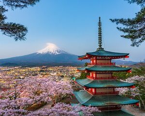 Mt. Fuji or Hakone Private Sightseeing Day Tour from Tokyo