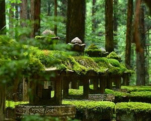 Mt. Koya 8hr Tour from Osaka: English speaking Driver, No Guide