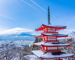 Mt.Fuji Tour: 3-Parks & The Healing Village in Fujiyoshida, Japan