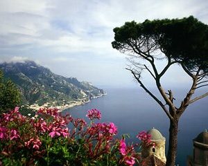 Private Day Tour to Positano Ravllo Vetri Sul Mare and Cetara