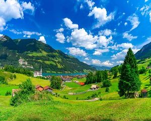 Private Scenic Trip through the Swiss Alps from Basel