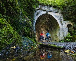 Remutaka Rail Trail eBike Explorer Cycle Tour