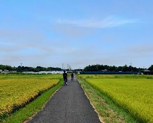 Rural Japan cycling tour to the rich nature area in Ichinomiya