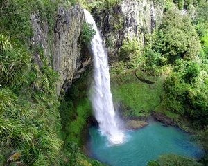 [Stevong] Hobbiton Village and Bridal Veil Falls Private Tour