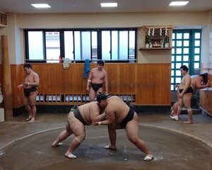 Sumo Practice Watching and Japan's Beautiful Culture and History