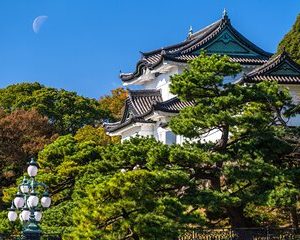 Tokyo Imperial Palace East Gardens: 2-Hour Private Walking Tour