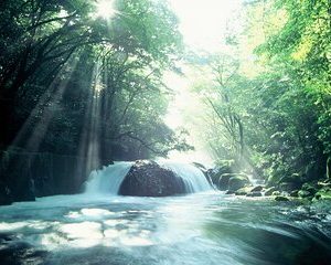 Walking with a guide through the Kikuchi Valley