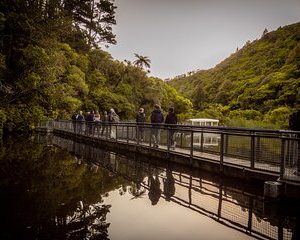 Zealandia - Twilight Guided Eco Wildlife Tour