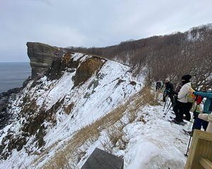 Cape Shakotan Ocean View Walking Path Snowshoeing