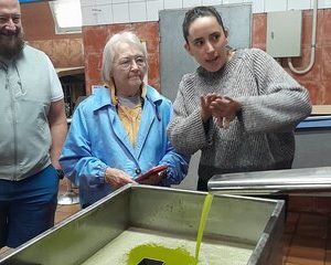 Tarragona`s History & Olive Oil from Barcelona - private tour