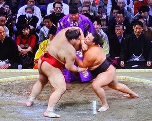 Tokyo Grand Sumo Tournament.