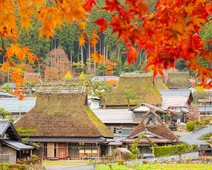 Kyoto Ine Bay, Amanohashidate and Miyama Village Tour From Osaka